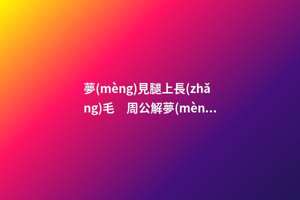 夢(mèng)見腿上長(zhǎng)毛　周公解夢(mèng)之夢(mèng)到腿上長(zhǎng)毛